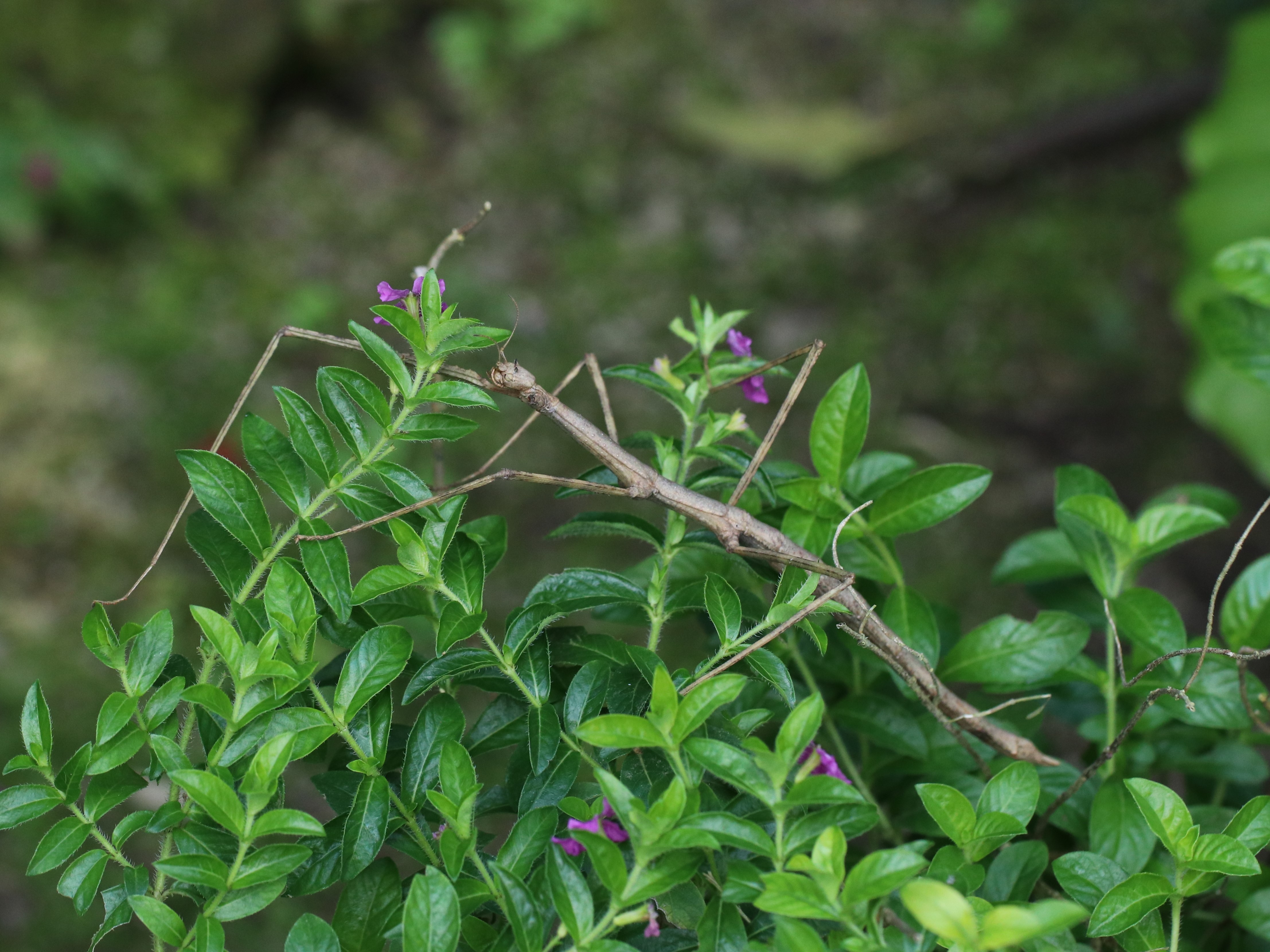 photo_2